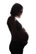 silhouette maternity photo