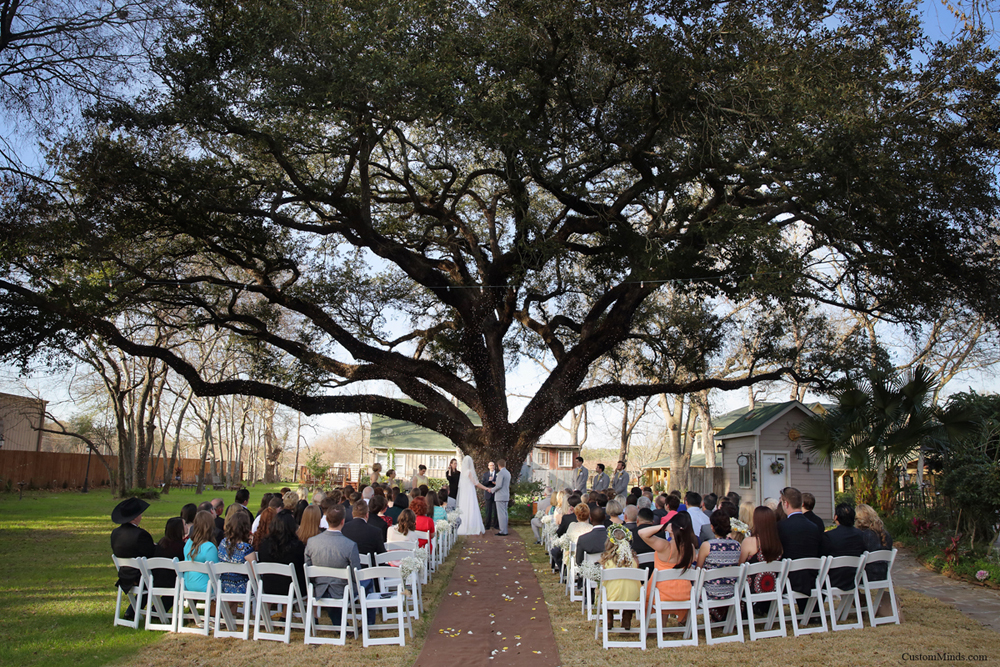 Beautiful tree at the Oak Tree Manor in Spring Texas